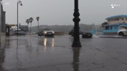 CDC advierte que virus de oropouche produce contagios por viajeros de Cuba