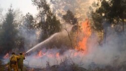 Hoy con Guillermo del Sol, Adriano Castañeda, Teresa Miranda, Juan Alberto de la Núez, Esteban Ajete y Osmel Ramírez