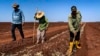 Agricultores cubanos preparan la tierra para el cultivo