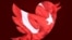 Twitter en Turquía