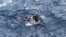 Uno de los dos grupos de balseros cubanos repatriados este miércoles naufragó cerca de las costas estadounidenses. (@USCGSoutheast/X)