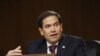Marco Rubio, senador republicano de origen cubano. (Andrew Harnik / AFP).