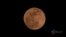 La Súper Luna deja boquiabiertos a los terrícolas