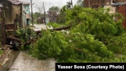 Se reportan caída de árboles y del tendido eléctrico en la ciudad de Santiago de Cuba, entre otros daños.