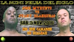 KaribeArte, el Humor y la Política